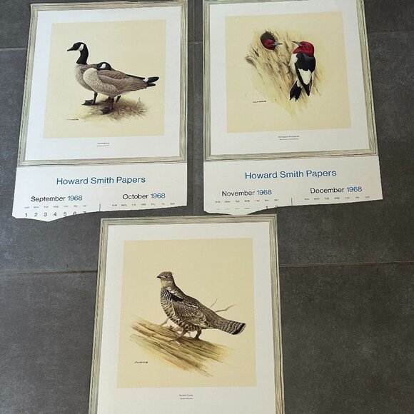 Vintage 1970 & 1971  Calendar Prints J.F. Lansdowne Birds - Picture 8 of 9